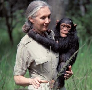 Jane Goodall - Net Worth, Salary, Age, Height, Weight, Bio, Family